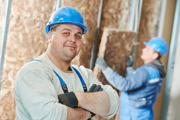 Best Basement Insulation  in Samson, AL